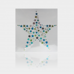 cute gym shorts motif star