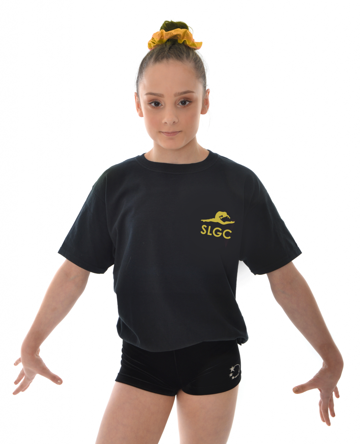 sl-holder-ts-front