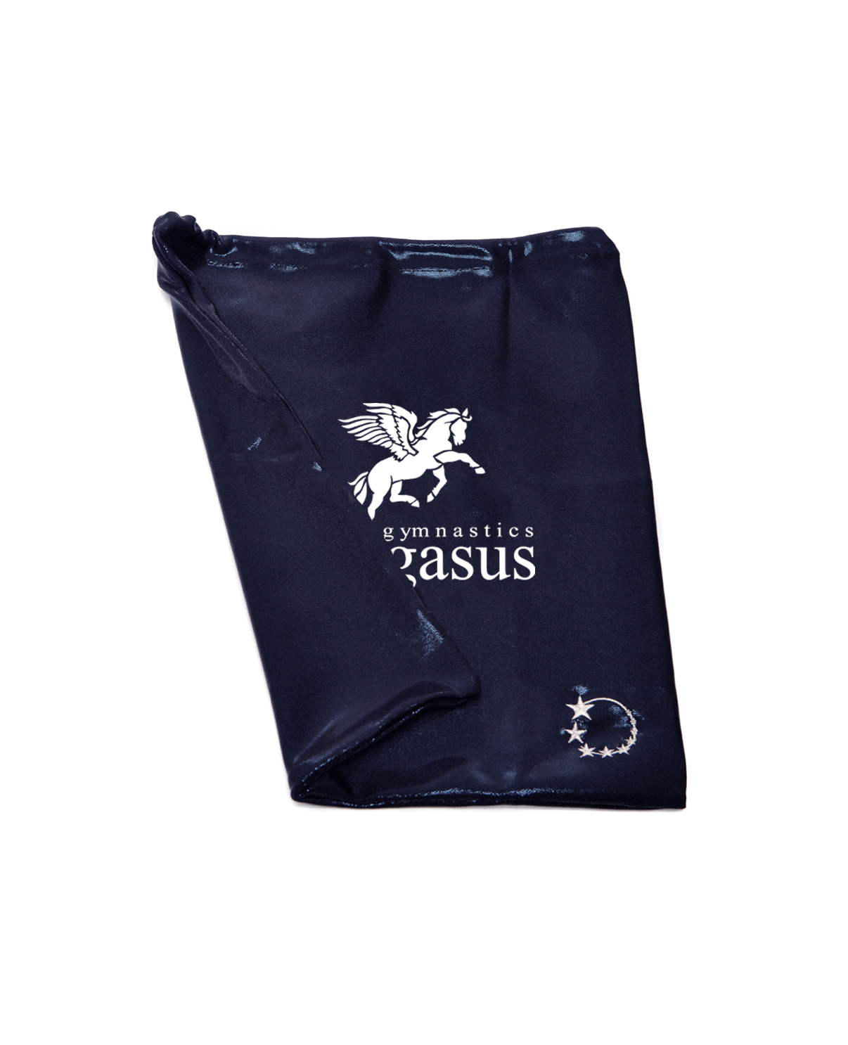 Pegasus GC Navy Handguard Bag