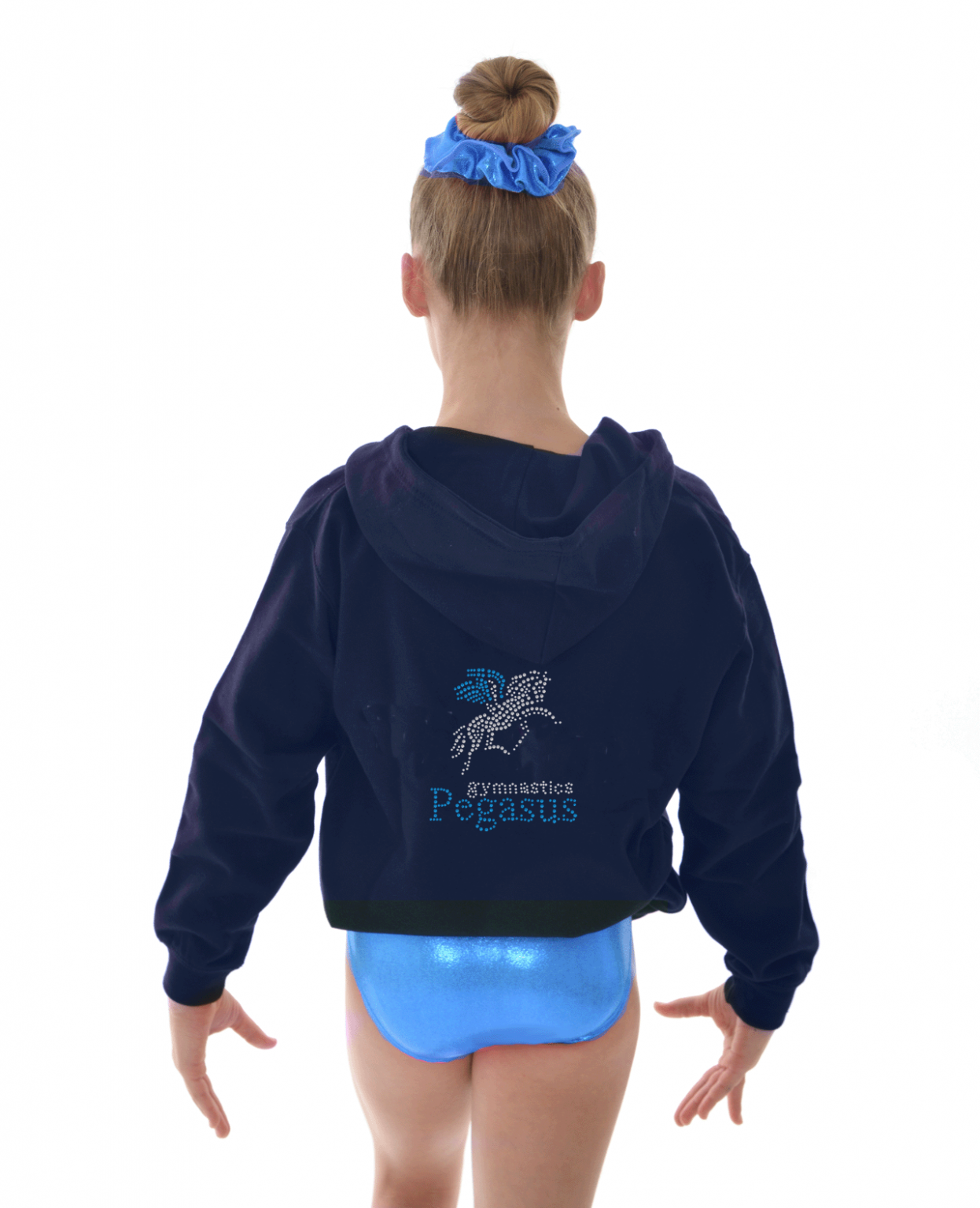 Pegasus-Full-Zip-Hoodie-back