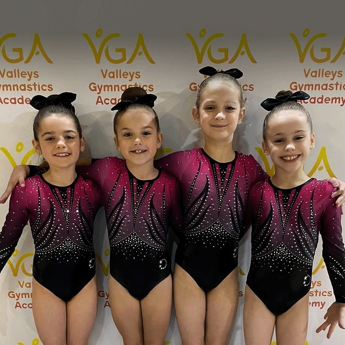 Valleys Gymnastics Competition Leotard