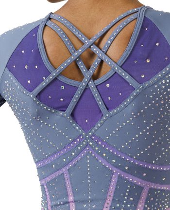 long sleeve lycra competition leotard with ab crystals and armour style bodice design grey and purple pink ombre
