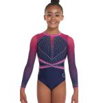 navy and pink ombre lycra gymnastics competition leotard