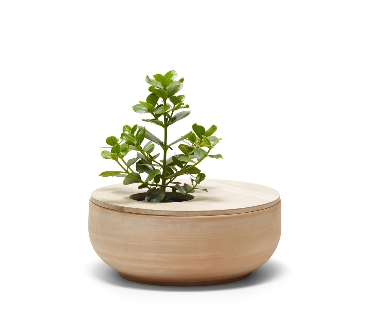 terracotta-vase-4
